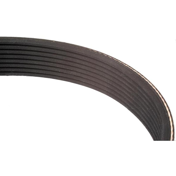 Aftermarket S19098 Poly V MultiRib PK Section Belt No 6PK 2217 Fits FordFits New Hol S.19098-SPX - main
